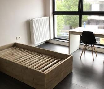 FOR STUDENTS ONLY! Studio apartment for rent at THE LINK - Photo 2