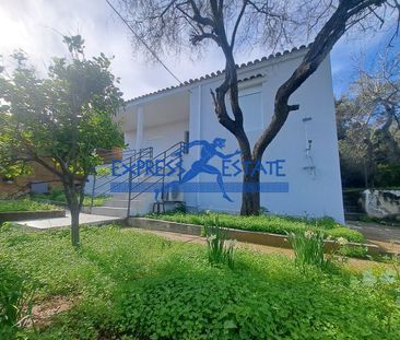 Ενοικίαση κατοικίας, 70 τ.μ., Ραφήνα, 800 € - Photo 3