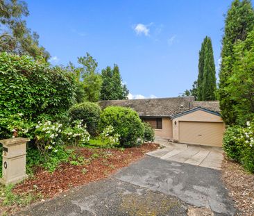 29 Dalrymple Street, Narrabundah ACT 2604 - House For Rent | Domain - Photo 5