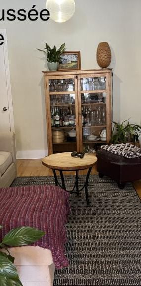 7 1/2 - Montréal (Rosemont) - 2 895 $/mois - Photo 1