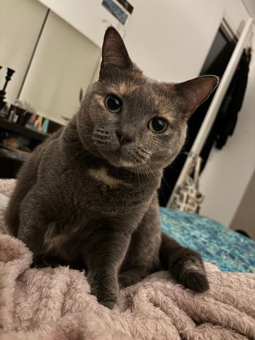 Alexandria - Photo 4