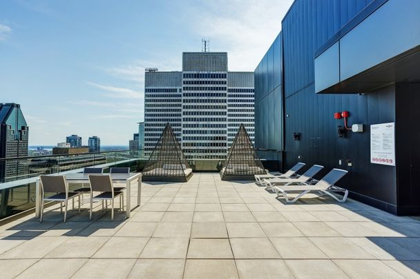 Appartement à louer - Montréal (Ville-Marie) (Centre Ouest) - Photo 1