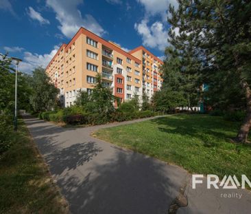Pronájem bytu 2+1 45 m2 - Fotografie 3