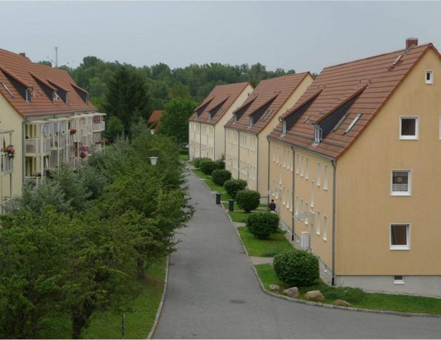 Rositz, 2-R-EG-Wohnung mit ebenerdiger Dusche & Balkon - Photo 1