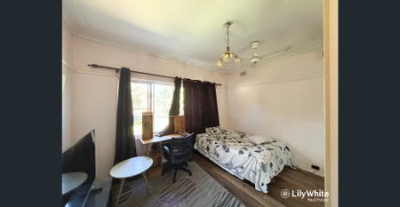 FAMILY HOME MINUTES FROM CAMPBELLTOWN CBD - Photo 3