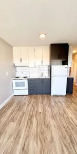 1 CH - 1 SDB - Montréal - $1,300 /mo - Photo 4