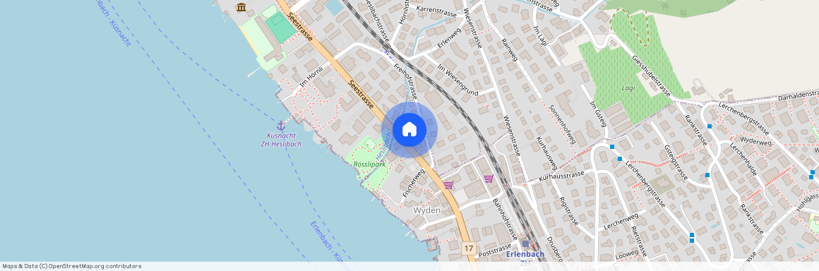 Seestrasse 3, 8703 Erlenbach