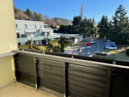 Mietwohnung Waltendorf - Photo 1