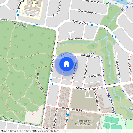 8 Binyang Ave, NSW 2745, Glenmore Park