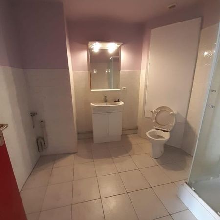 Location Appartement 1 pièce 42m² RUMILLY 74150 - Photo 3