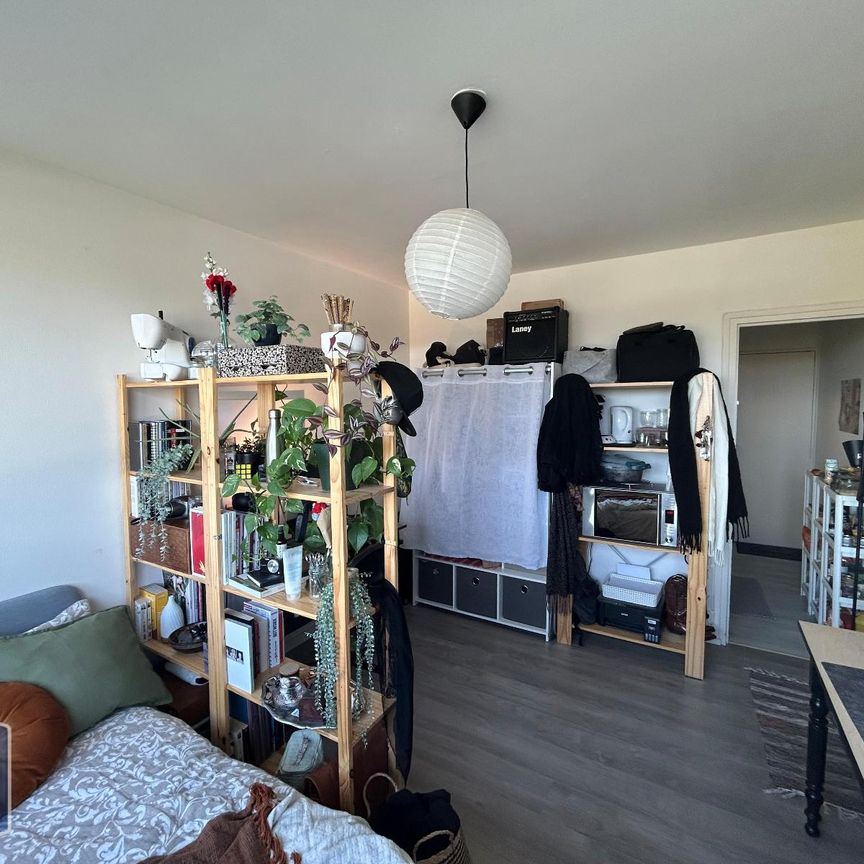 Location Appartement 1 pièce 19m² CHAMBRAY LES TOURS 37170 - Photo 1