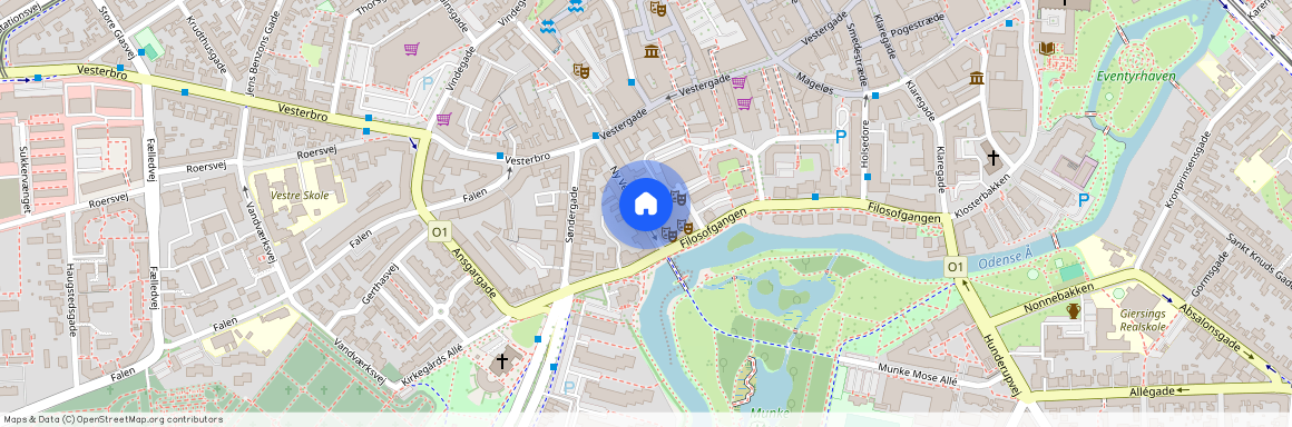 Ny Vestergade 16, 2., 5000 Odense C