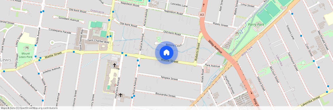 29c Wattle Street, NSW 2196, Punchbowl