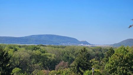 Beautiful, Sunny House for Rent – Bratislava IV, Karlova Ves - Photo 2