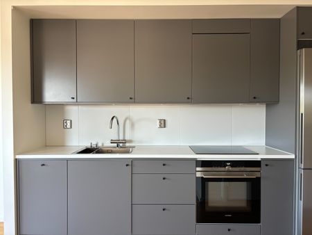 Storseglet, Vega - Foto 3