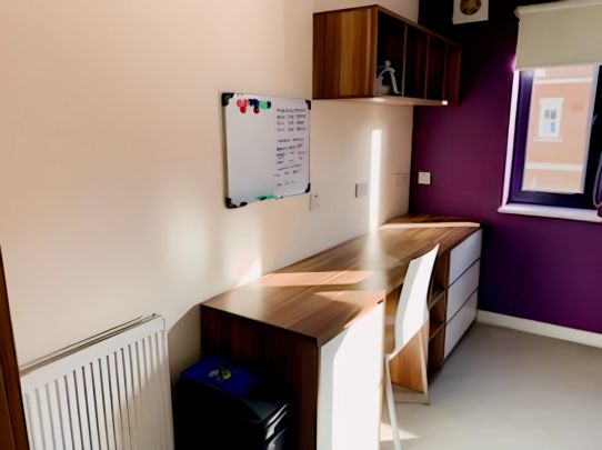 Deluxe Studio, Behn Hall - Photo 1