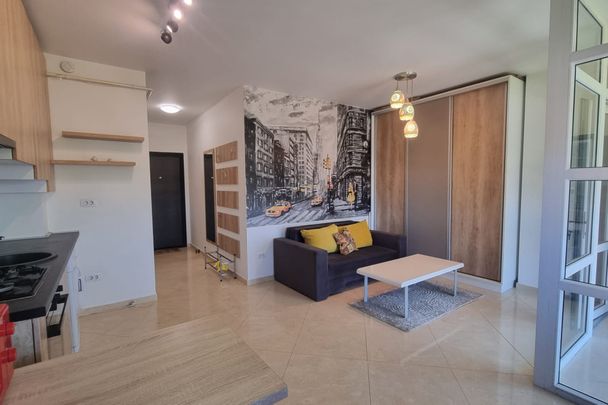 Apartament de inchiriat o camera Lunca Cetatuii - Photo 1