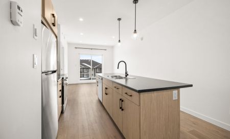 Pine: Grey Cabinets – 225 Peguis, Winnipeg, MB - Photo 3