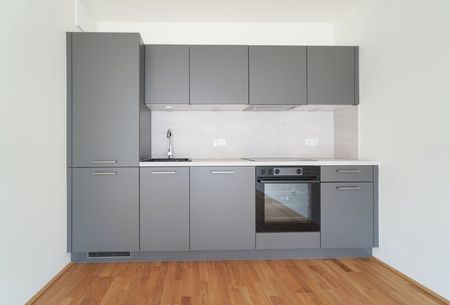 Wohnung in Ruhelage mit Balkon - Leberberg - Photo 2