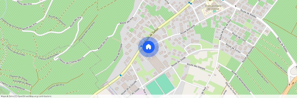 Route Romaine 133, 1912 Leytron