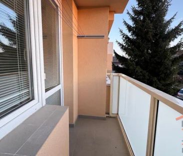 Pronájem bytu 1+1 s lodžií - Věkoše - Hradec Králové - Fotografie 4