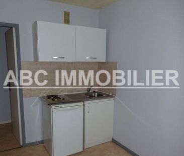 Location Appartement 1 pièce 25m² - Photo 5