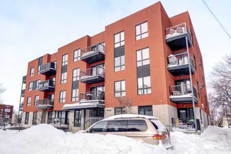 10681 Rue De Martigny, app.401, H2B 2M8, H2B 2M8, Montréal - Photo 4