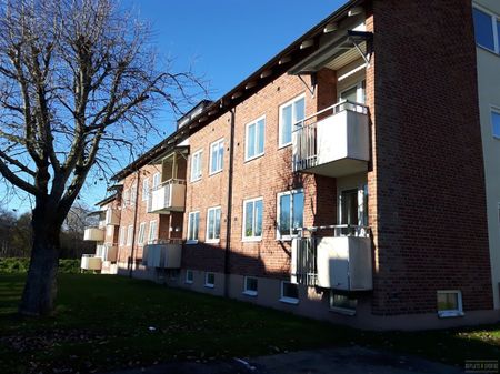 Långgatan 18 C - Photo 5
