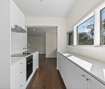 Charming One-Bedroom Apartment with Mount Ainslie Views - Photo 5