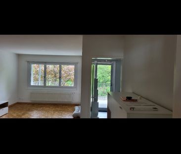 2.5 Zimmer, 55 m² - Foto 5