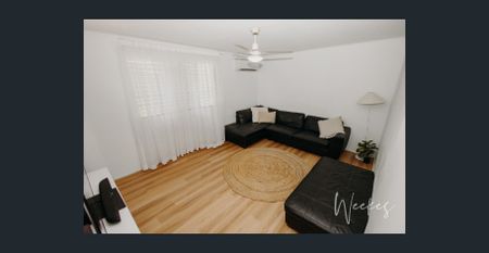 RICH CHARM WITH AN INNER CITY LANDMARK - Photo 3