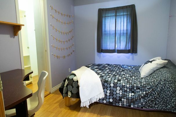 Condo for rent, Montréal (Le Plateau-Mont-Royal) - Photo 1