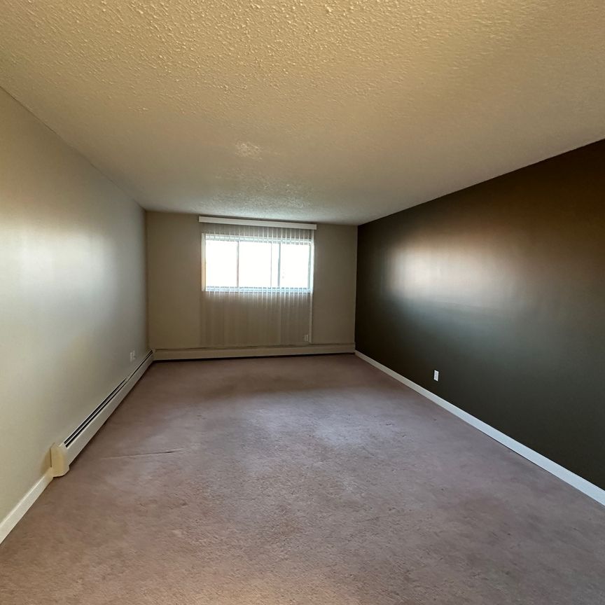 Spacious 2 Bedroom Cat Friendly Suite in Clearview! - Photo 1