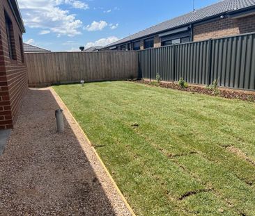 Fabulous, Thoughtfully Designed Home! - Photo 6