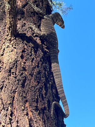 Martins Creek - Photo 1