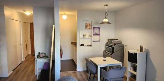 VGH – Lovely Studio Suite – Available Jan. 1st!(1233 W. 11 Ave) - Photo 2