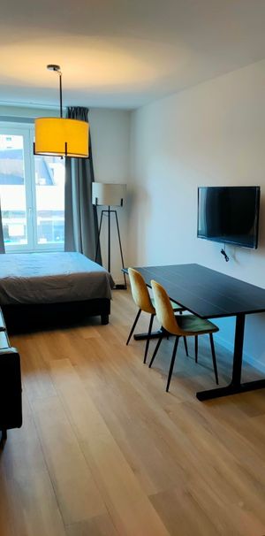 Te huur: Studio Schiedamsesingel in Rotterdam - Photo 1