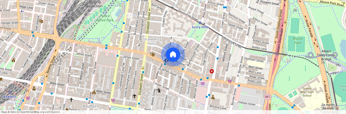 87 Goodlet Street, Surry Hills