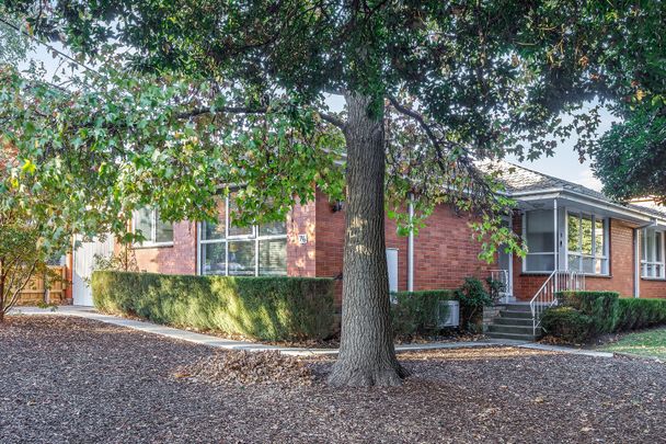 Perfectly Positioned, Light-Filled Home in the Heart of Canterbury - Photo 1