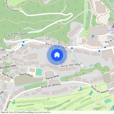 Petit-Vallon, Crans-Montana