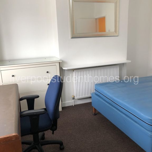 Albany Road, Liverpool - Photo 1