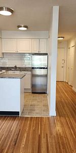 Large Cat Friendly Studio Unit With Laundry Steps From Commercial Dr - Photo 4