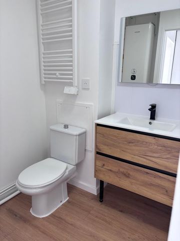 Location Appartement 1 pièce 25m² DAX 40100 - Photo 4