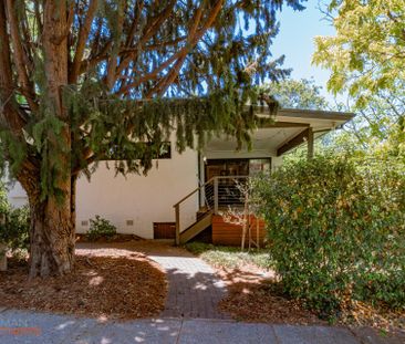 12 Argyle Place, Curtin ACT 2605 - House For Rent | Domain - Photo 6