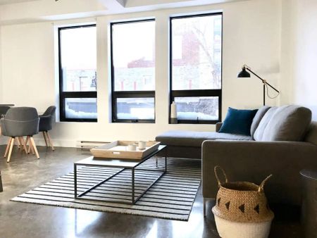 Lofts du Main — Studio - Photo 4