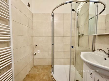 Pronájem bytu 1+1 40 m², Viniční 2977, Brno - Photo 4