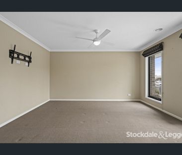 This One Has It All! - Photo 2