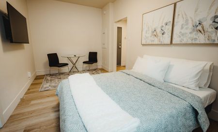 Furnished Bachelor: 247 Young, Winnipeg, MB - Photo 4