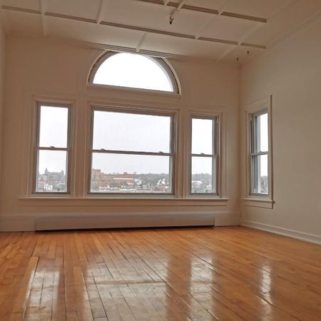 3½ rénové au sommet (vue unique + ensoleillé toute la journée) - Photo 3