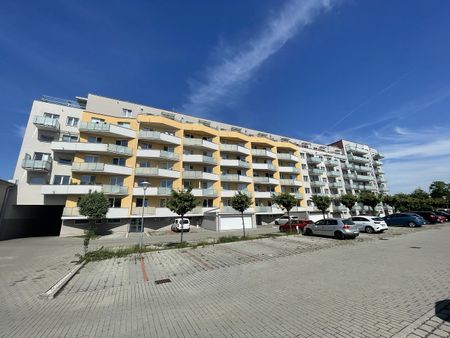Pronájem bytu 1+kk 35 m² - Fotografie 4